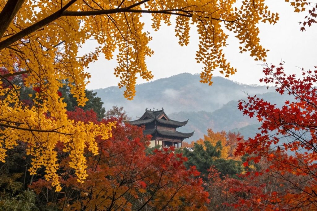 Autumn foliage at Mount Qingcheng near Chengdu
