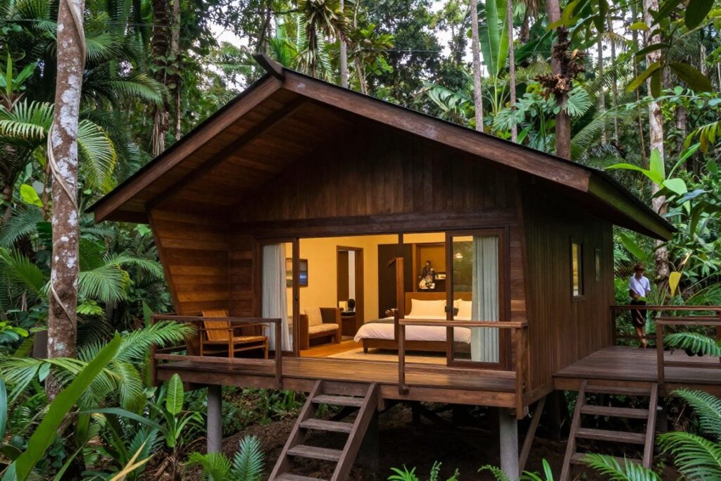 Eco-lodge accommodation in rainforest with comfortable rooms and nature views