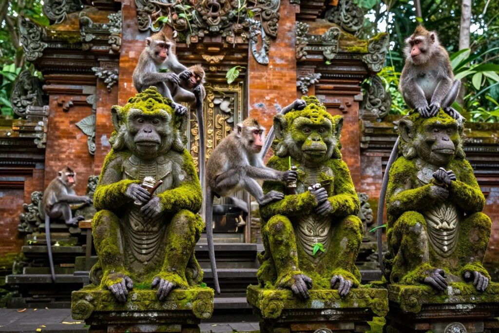 Monkeys in Ubud Sacred Monkey Forest temple