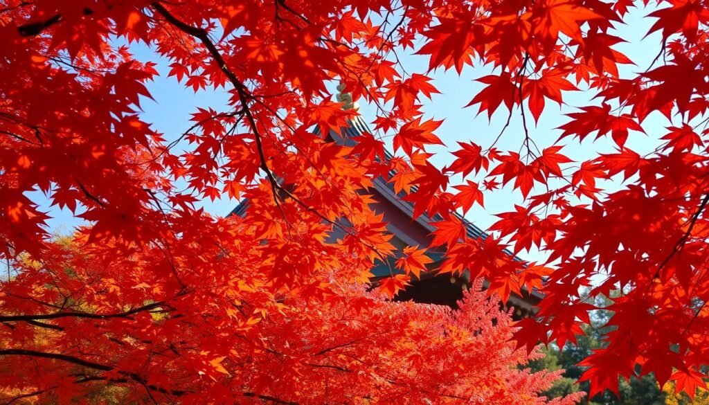 Vibrant autumn foliage in Japan with red maple leaves framing a traditional temple