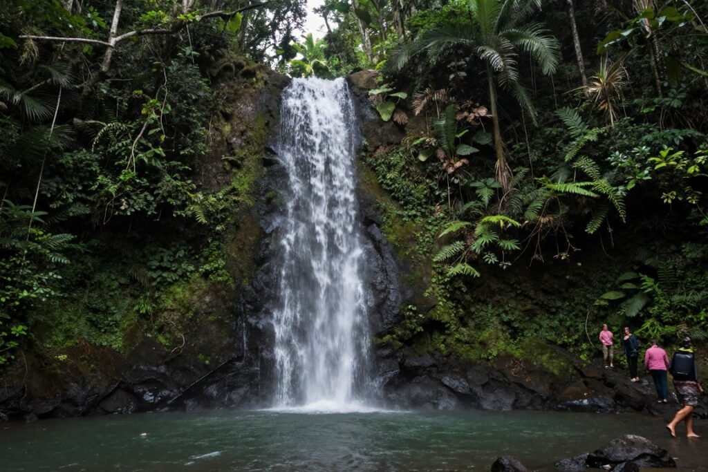 Waterfall in Kubah National Park rainforest